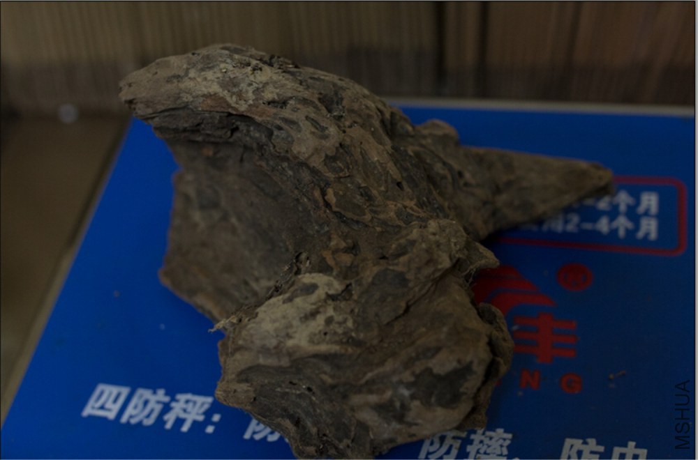 QQ��ͼ20141125225224.jpg