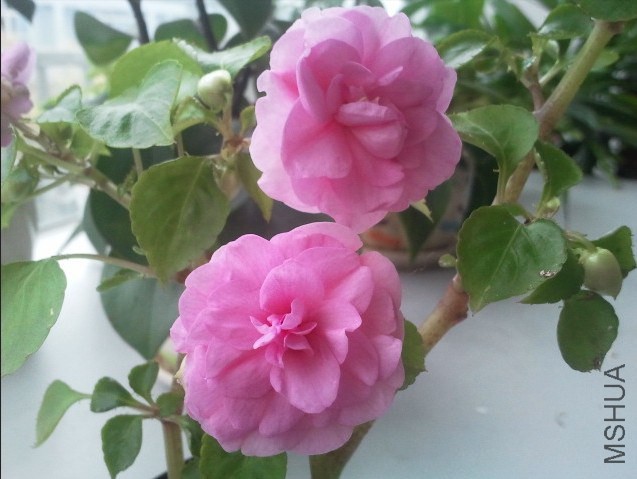 QQͼƬ20141126135540.jpg