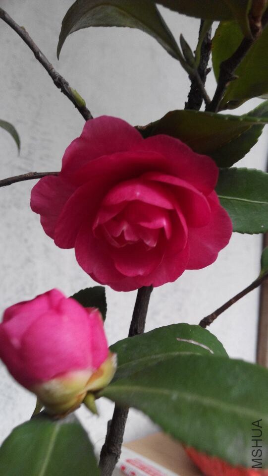 QQͼƬ20141126140135.jpg
