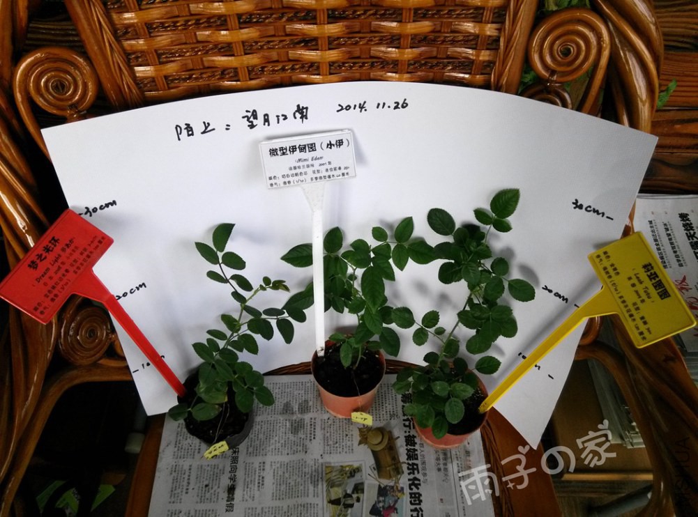 IMG_20141126_140046.jpg