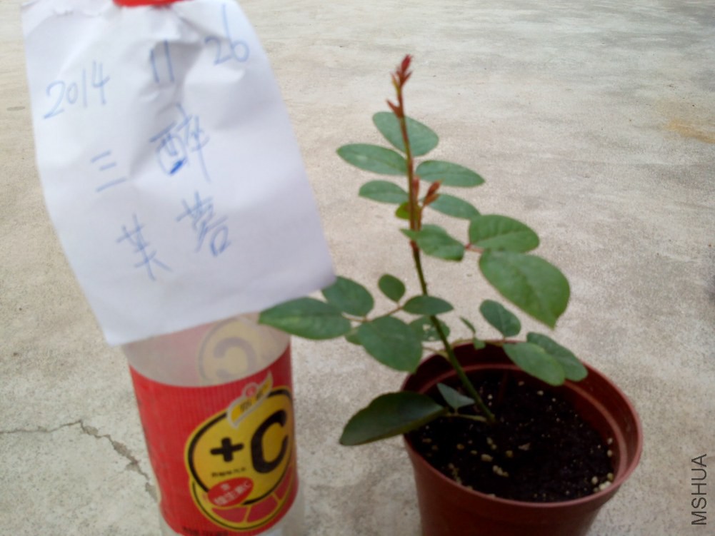 �¶�1��25Ԫ
