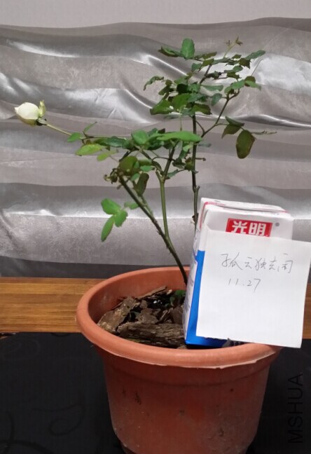 QQͼƬ20141127090930.jpg