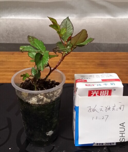 QQͼƬ20141127091005.jpg