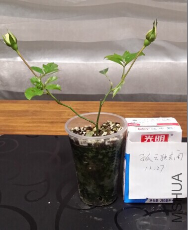 QQͼƬ20141127091044.jpg