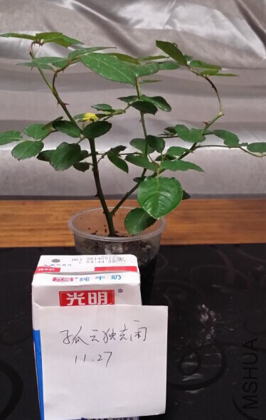 QQͼƬ20141127091244.jpg