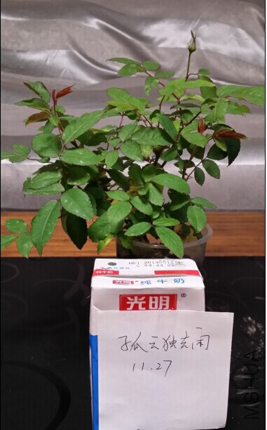 QQͼƬ20141127091313.jpg