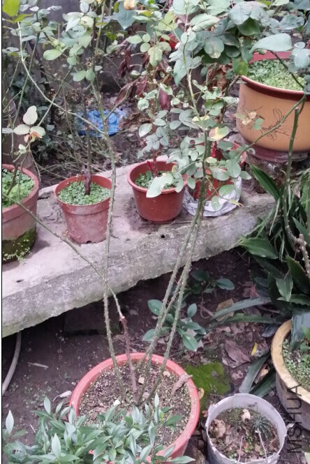 QQͼƬ20141127091413.jpg
