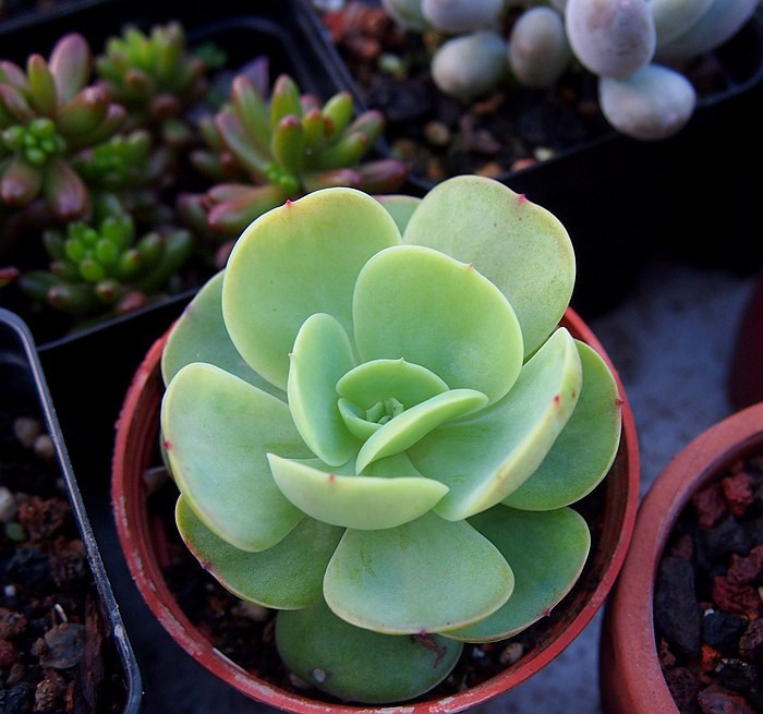 PB270117.JPG