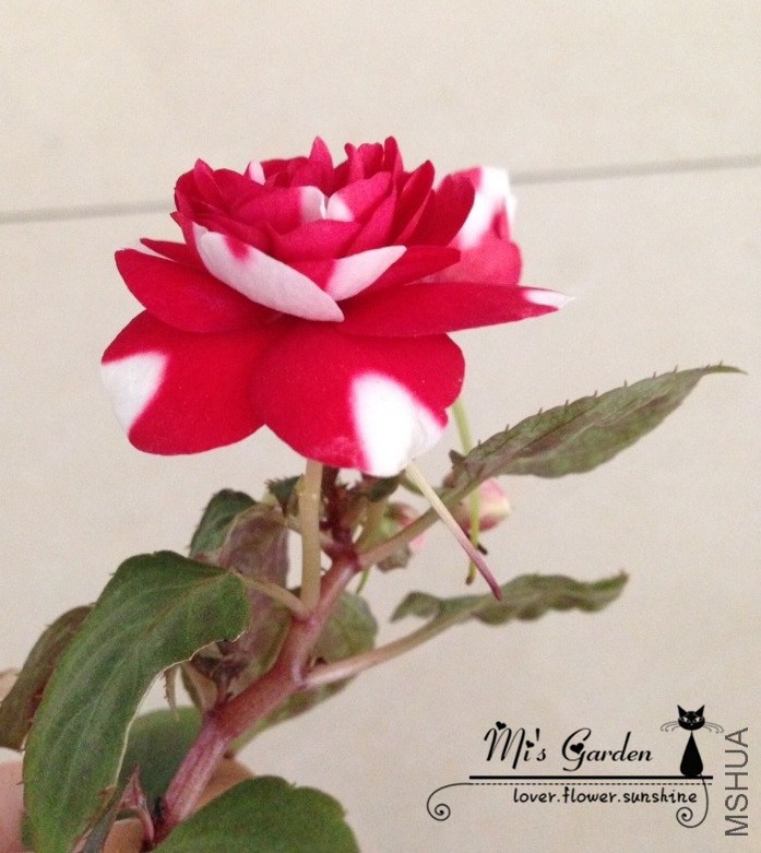 2014.10.12-4.jpg