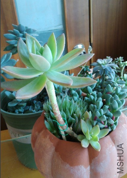 QQͼƬ20141127104359.jpg