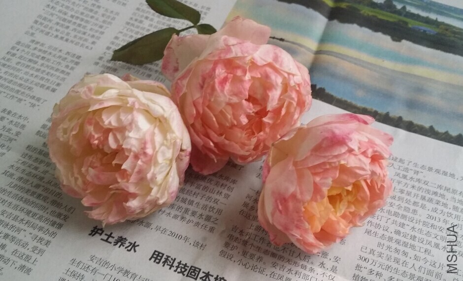 QQͼƬ20141126154007.jpg