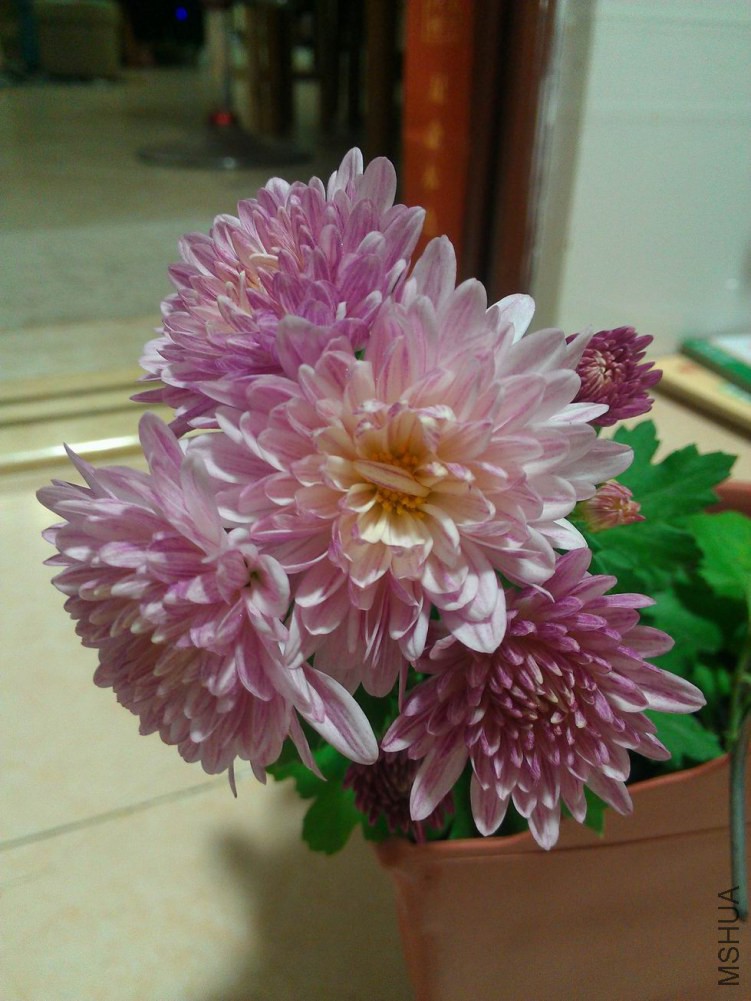 ������С WP_001645.jpg