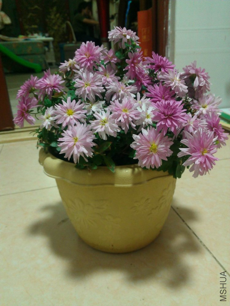 ������С WP_001646.jpg