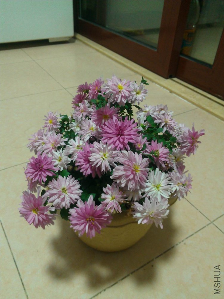 ������С WP_001647.jpg