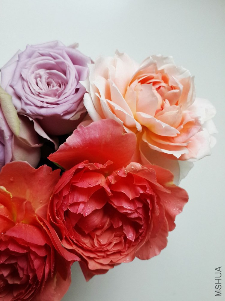 20140524_114309.jpg