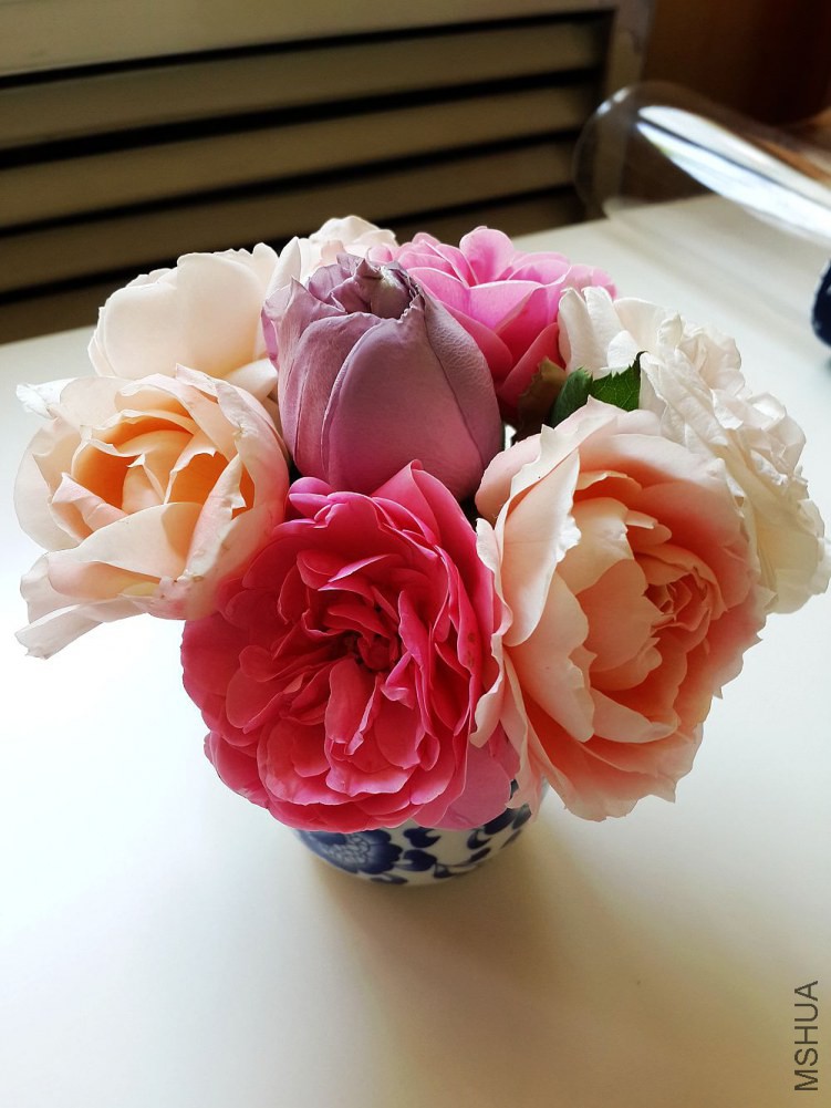 20140528_114030.jpg