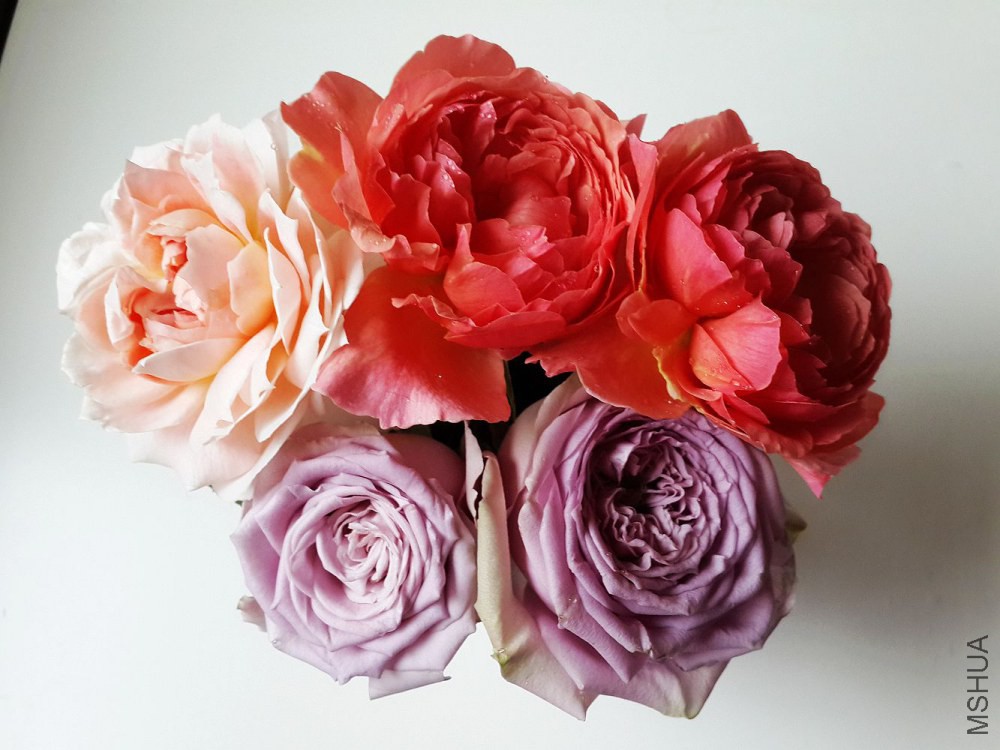 20140524_114349.jpg