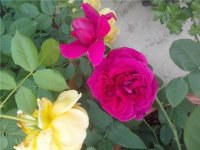 147.jpg