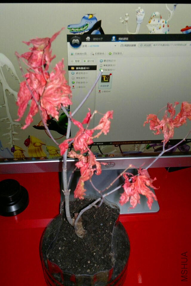 QQͼƬ20141105212348_����.jpg