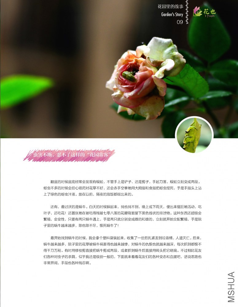 ��Ҳ������_ҳ��_09.jpg