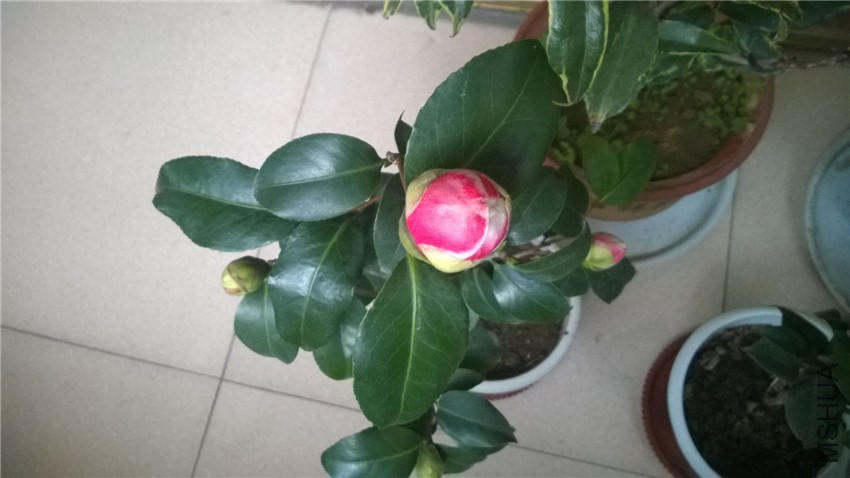 WP_20141116_07_12_09_Pro.jpg