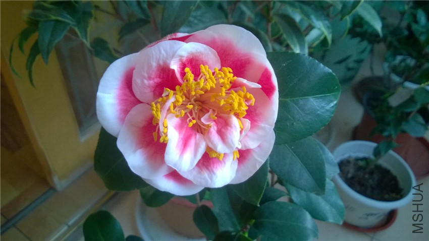 WP_20141118_07_10_40_Pro.jpg