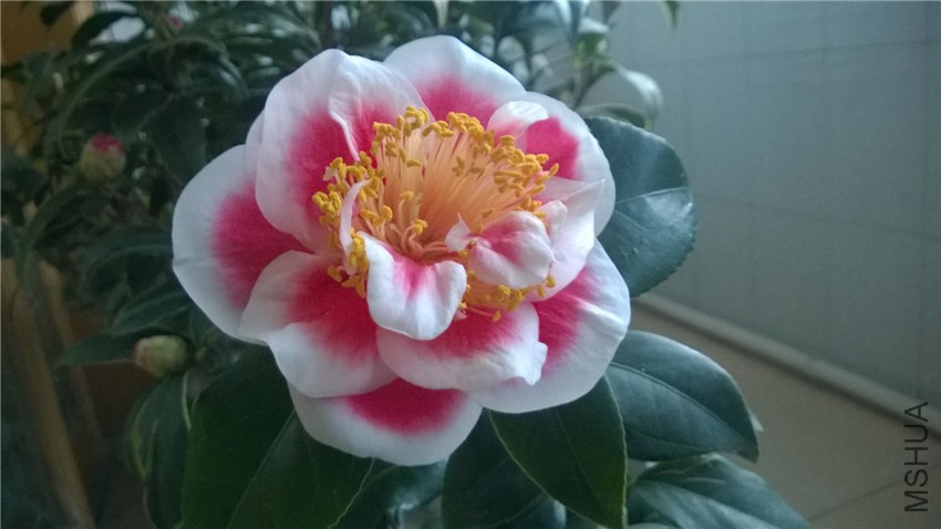 WP_20141119_07_01_54_Pro.jpg
