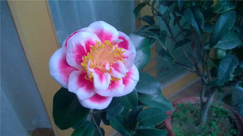 WP_20141119_07_05_39_Pro.jpg