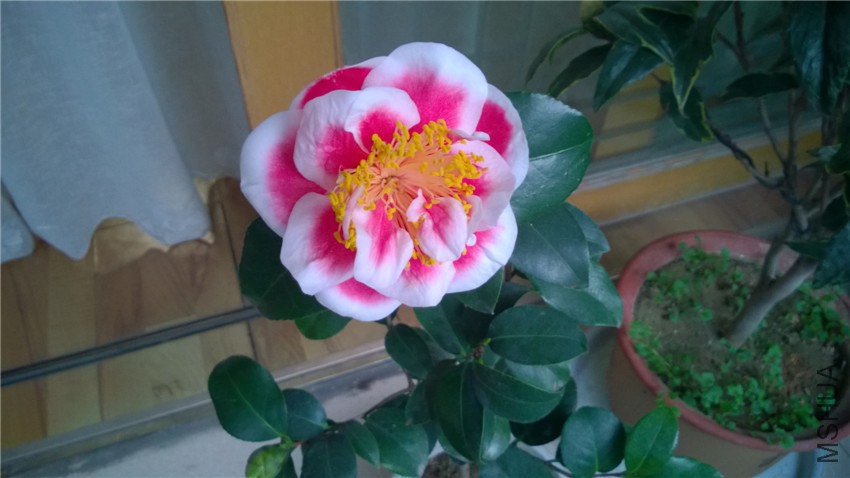 WP_20141119_07_05_47_Pro.jpg