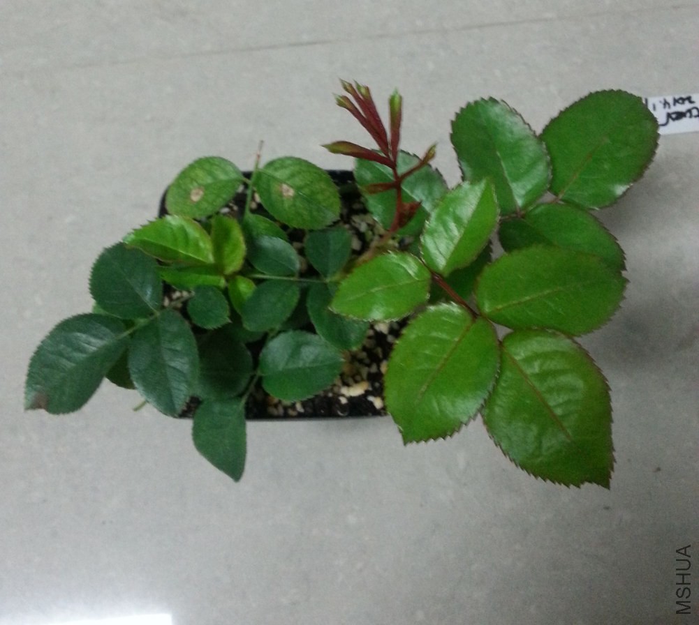 20141128_184540_����.jpg