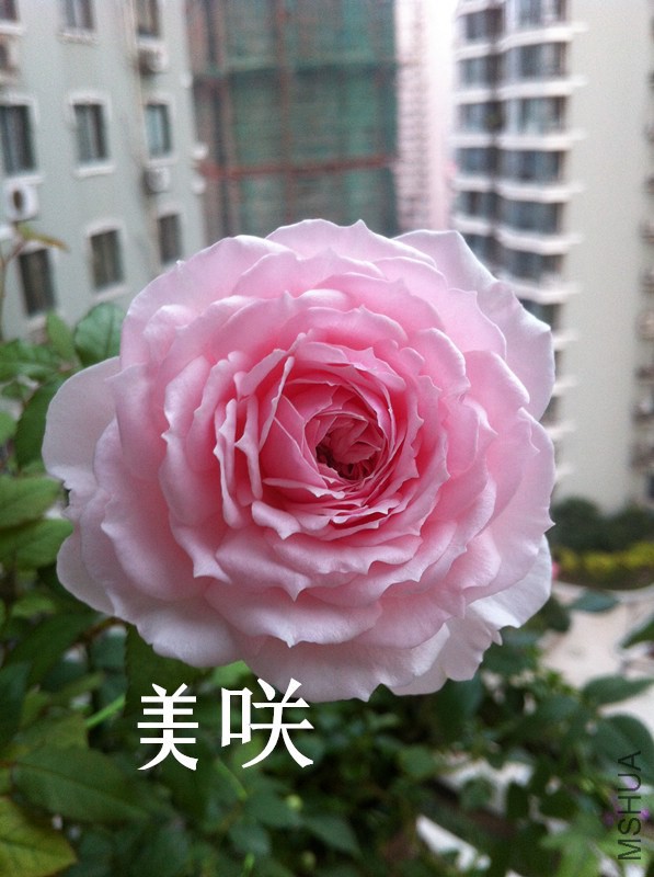 002_����.jpg