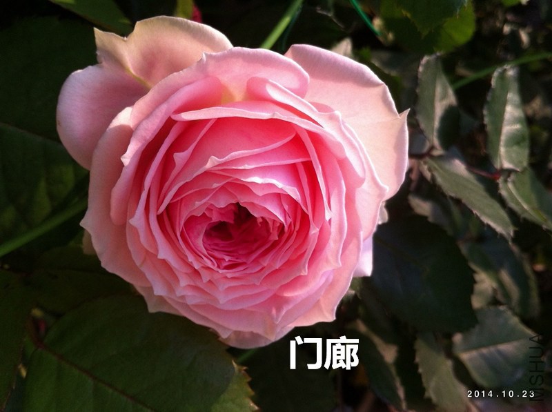 030_����.jpg