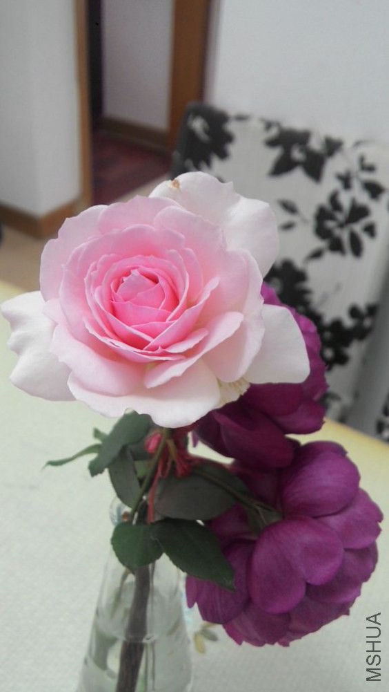 20141129121152.jpg