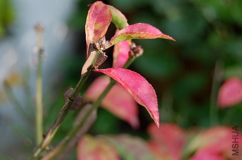 DSC_02430243.JPG