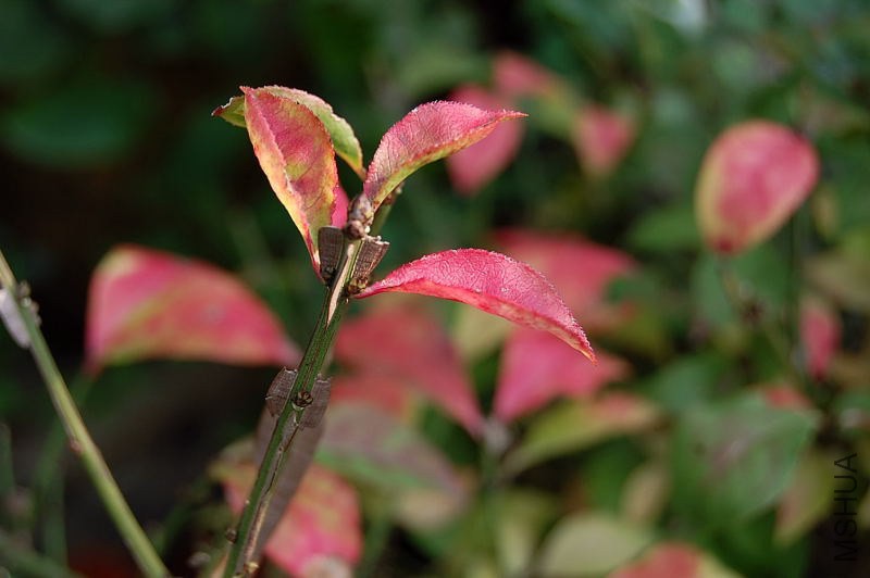 DSC_02420242.JPG