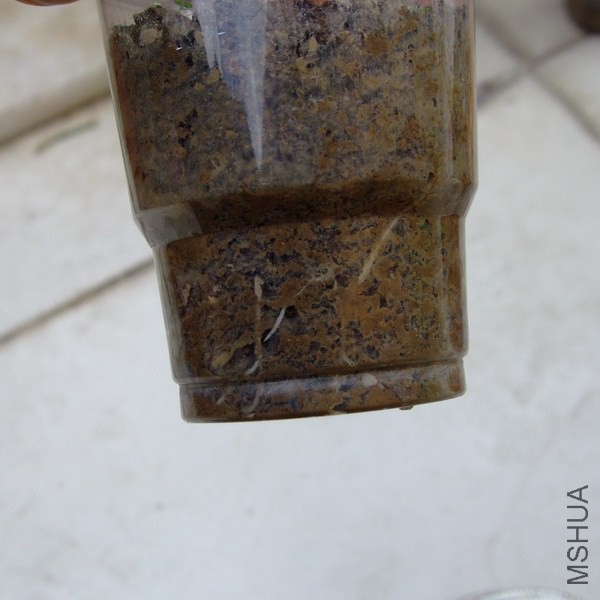 DSCF46441.jpg