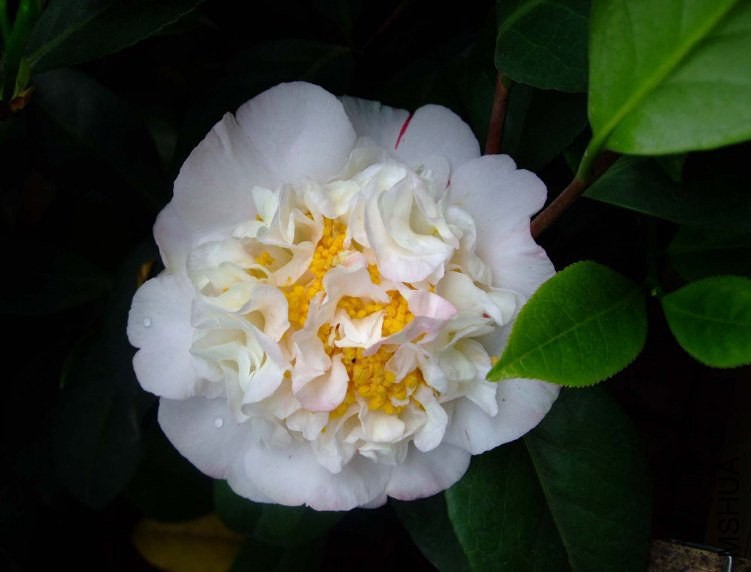 ���ж� 2012-4-19f 020.jpg