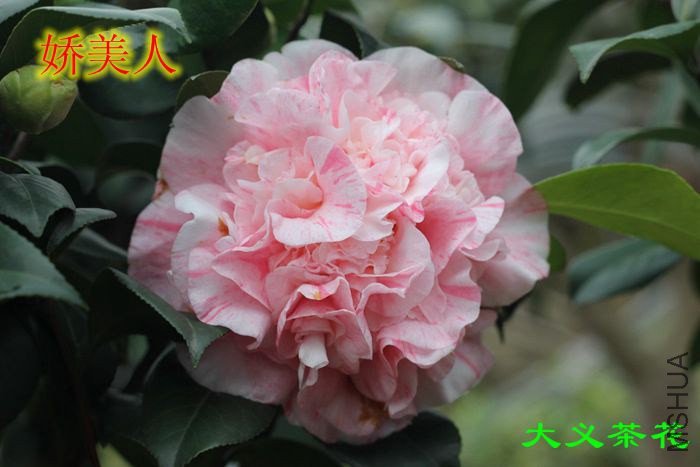 ������.jpg