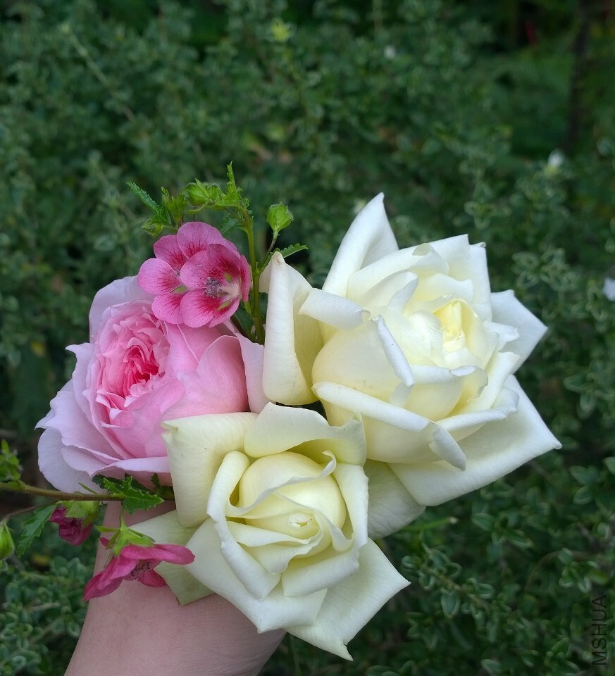 QQͼƬ20140724164800.jpg