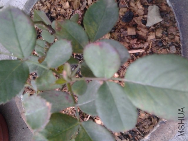 20141108_115019.jpg