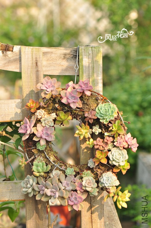 ���� ����.jpg