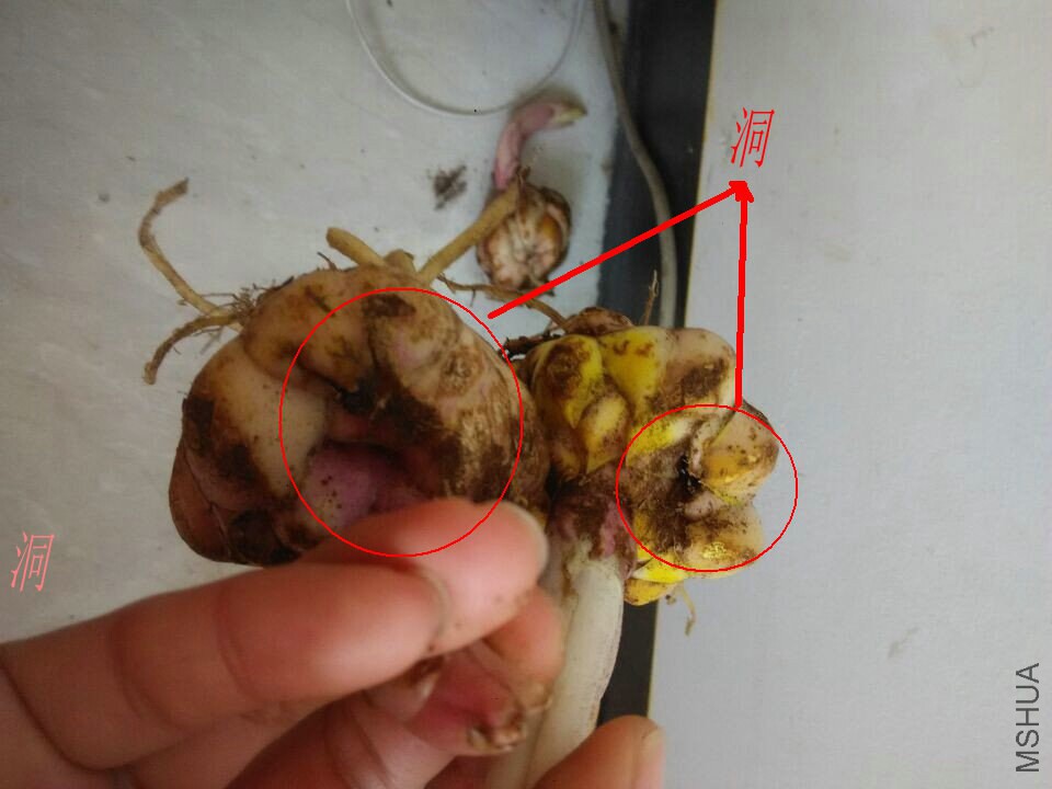 QQͼƬ20141201141044.jpg