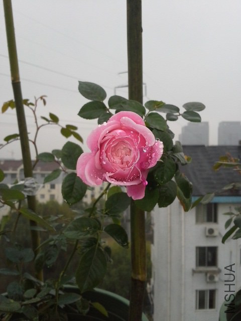 20141129_100825.jpg