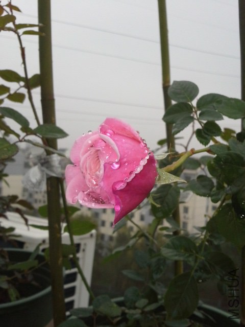 20141129_100834.jpg