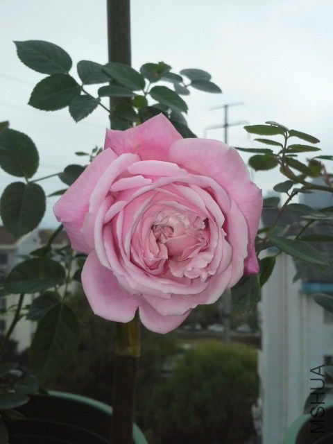 20141130_113240.jpg
