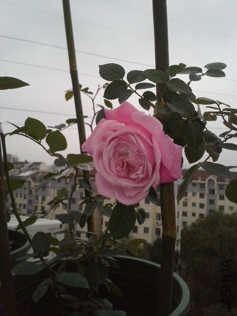 20141130_113312.jpg