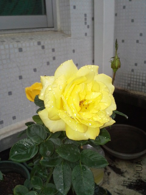 20141129_100917.jpg