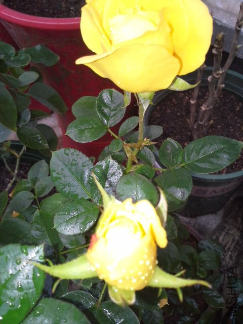 20141129_100957.jpg