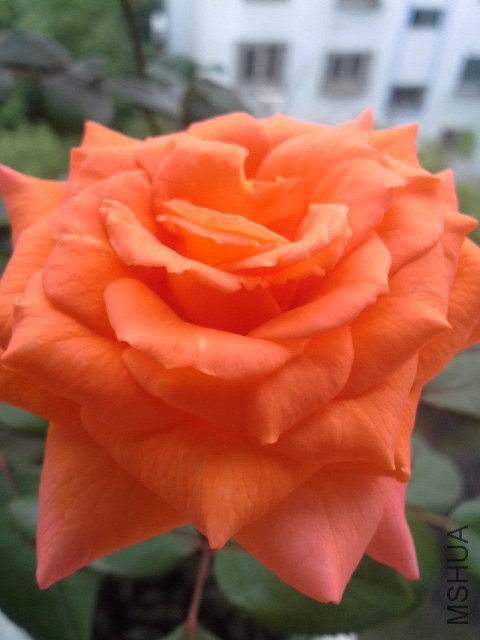 20140709_074245.jpg