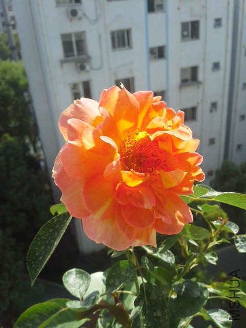 20141024_133835.jpg